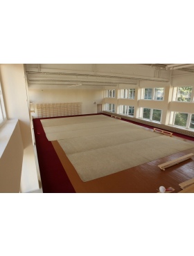 Аренда зала для занятий художественной гимнастикой